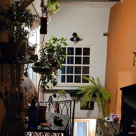 بيت شباب Inbraga براغا